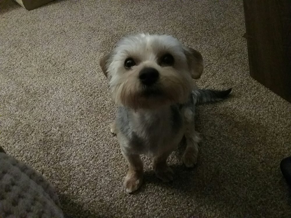 Boden Boo & Erskine Beach