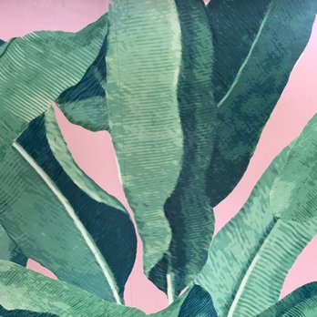 Vibe Cafe - Floral print - Cafes Near Me - Hilo, Hawaii Vibe Cafe - Floral print - Cafes Near Me - Hilo, Hawaii