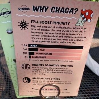 Alo Cafe - Chaga - Breakfast & Brunch Near Me - Scottsdale, Arizona Alo Cafe - Chaga - Breakfast & Brunch Near Me - Scottsdale, Arizona
