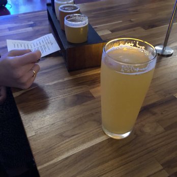 Progression Brewing Company - Upward ping and a flight of different IPAs - New American Near Me - Northampton, Massachusetts