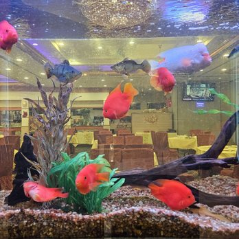 888 Seafood Restaurant - Fishies - Dim Sum Near Me - Rosemead, California