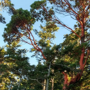 Patos Island State Park - So pretty. - Parks Near Me