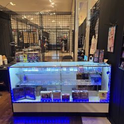 Rogue Rivals - Display case
