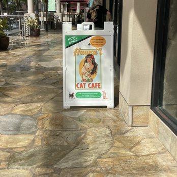 Hawaii Cat Cafe - Themed Cafes Near Me - Honolulu, Hawaii