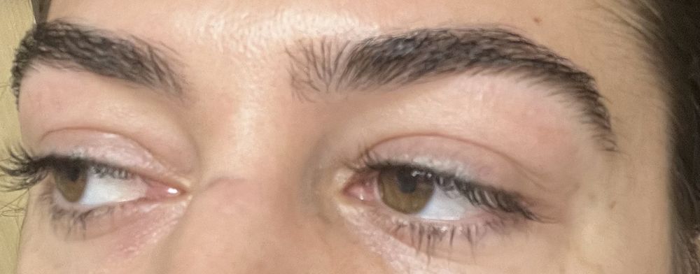 Dhruva Brows Threading & Spa Logo