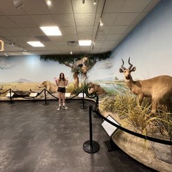 Monte L. Bean Life Science Museum - FREE Fun Natural History Museum.