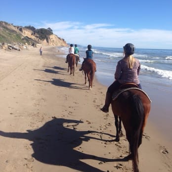 Wine Horse Tours Horseback Riding Santa Barbara Ca Phone Wine Horse Tours Horseback Riding