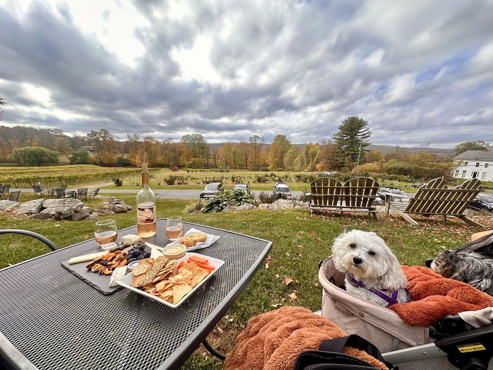 White Silo Farm & Winery - vineyard in Sherman, CT