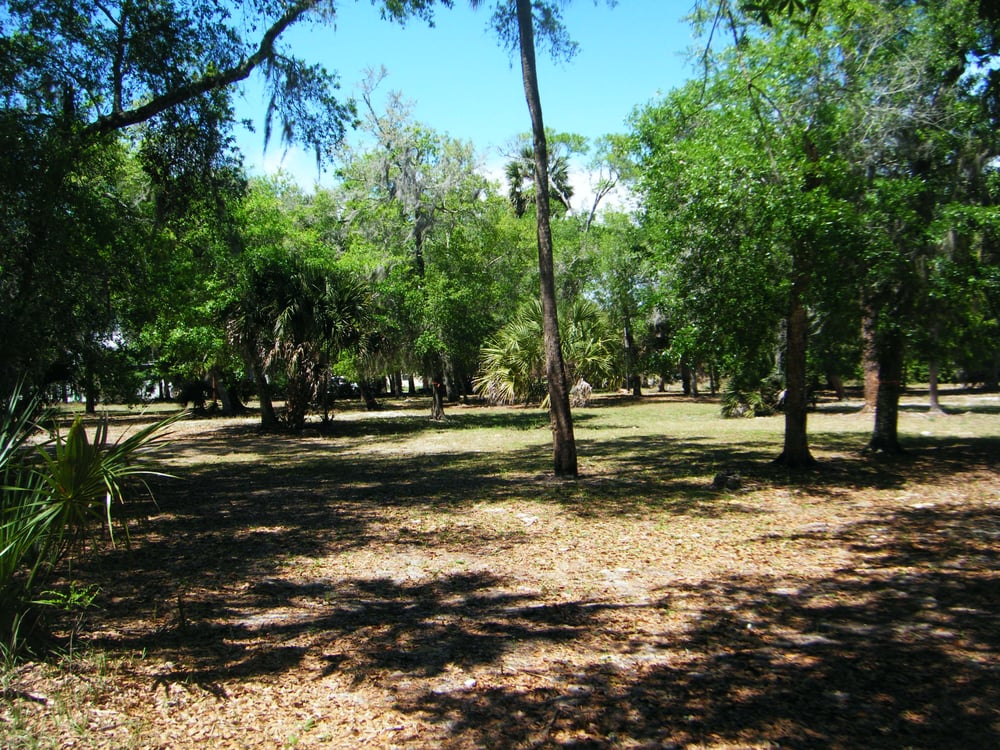 James Ormond Park Image