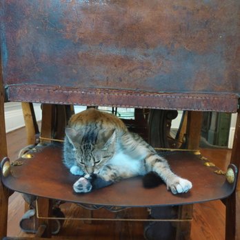 Ernest Hemingway Home  - Museums Near Me - Key West, Florida