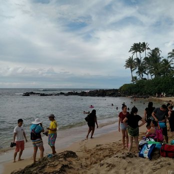 Laniakea Beach - Tourist - Beaches Near Me - Haleiwa, Hawaii Laniakea Beach - Tourist - Beaches Near Me - Haleiwa, Hawaii