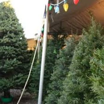 Valley View Christmas Trees - Best Christmas Tree lot - Fireworks Near Me - Gilbert, Arizona Valley View Christmas Trees - Best Christmas Tree lot - Fireworks Near Me - Gilbert, Arizona