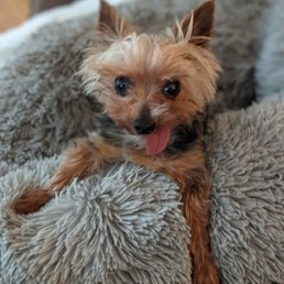 Romeo living his best life!