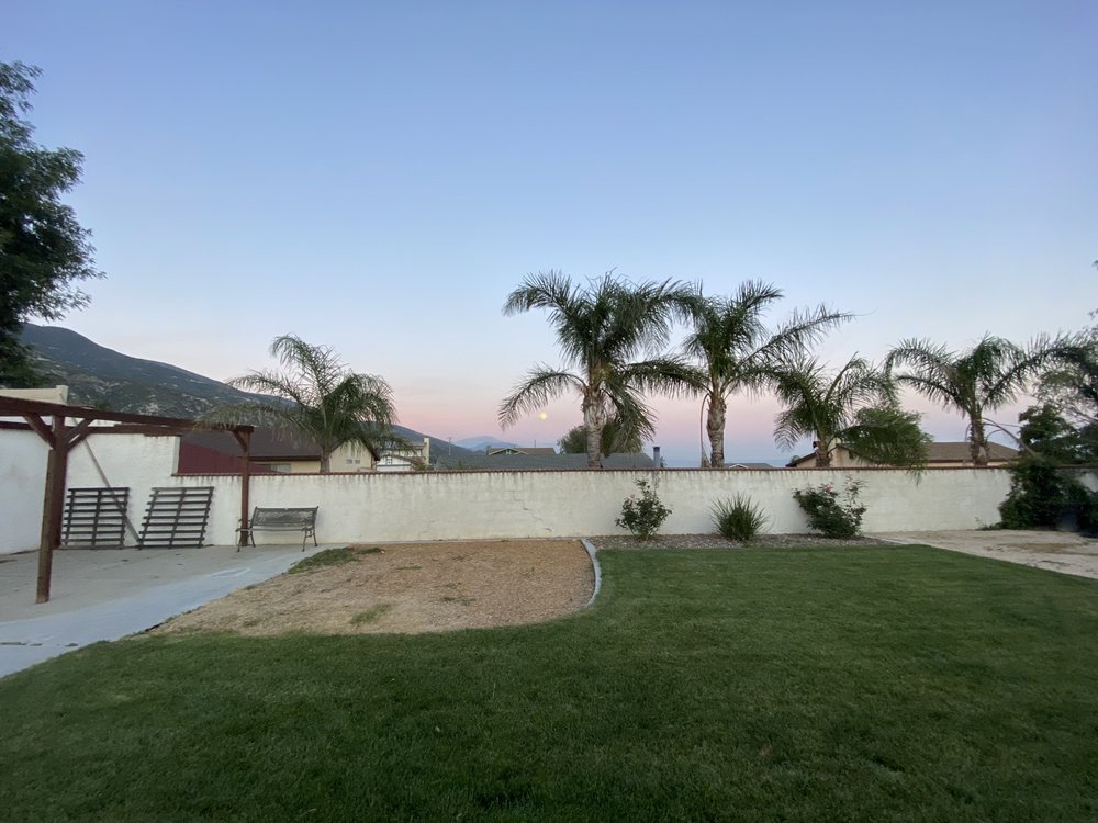 NAHED BENYAMEIN ESTATE OF GRACE Updated May 2024 26 Reviews