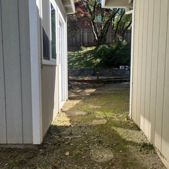 Jose Yard Maintenance - After: General Clean-Up - Lawn Services Near Me