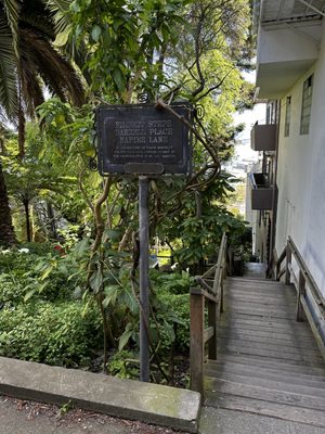 Filbert Steps by null