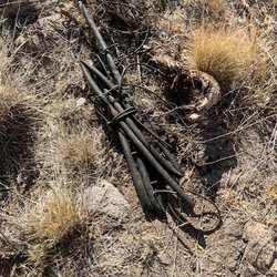 Wild Desert Landscaping - Garbage they left in our yard, thrown in a bush