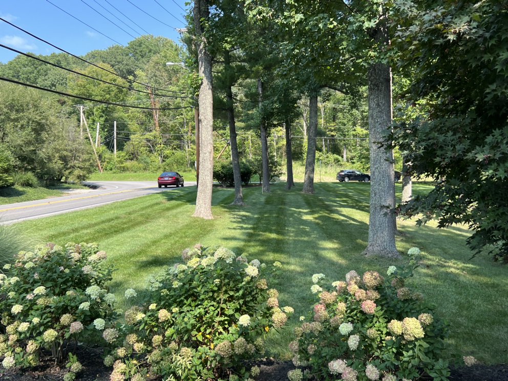 TOP NOTCH DUMPSTER RENTALS Charleston, West Virginia Indoor