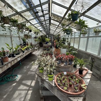 Berkeley Horticultural Nursery - Nurseries & Gardening Near Me - Berkeley, California