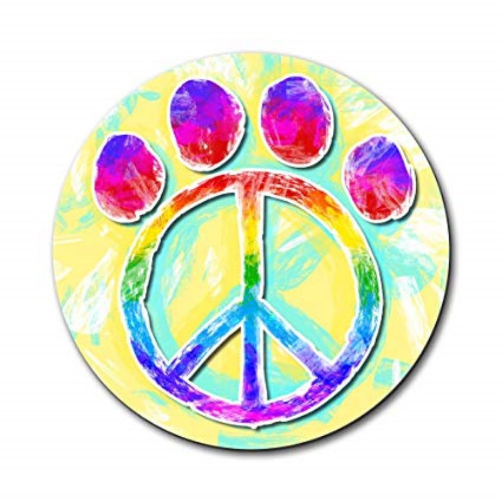 Pawsitive Vibes - pet boarding facility in Alabaster, AL