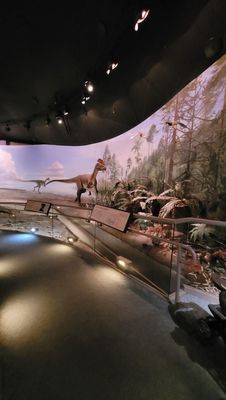 Dinosaur State Park by null