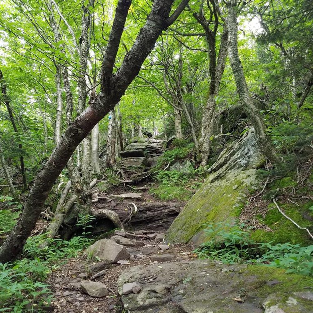 Catskill Center - Catskills, NY day hiking - beautiful - Cultural Center Near Me - Arkville, New York