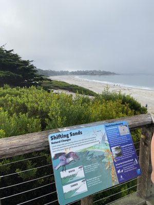 Carmel Beach by null