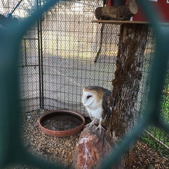West Coast Falconry - Specialty Schools Near Me - Marysville, California West Coast Falconry - Specialty Schools Near Me - Marysville, California