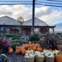 Photo of Frank's Farm Market