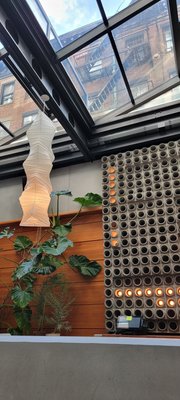 Ace Hotel Brooklyn by null