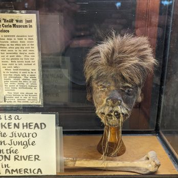 Marsh's Free Museum - Shrunken head - Antiques Near Me - Long Beach, Washington