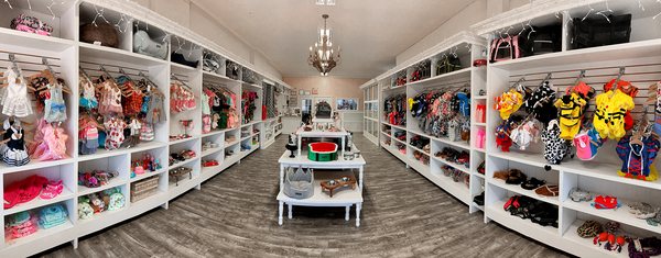 Dogue Grooming & Pet Boutique by null