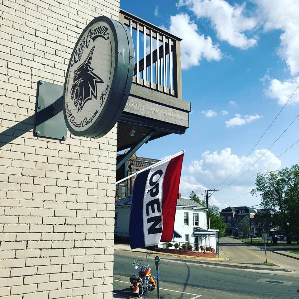 Social spots from Cat's Corner