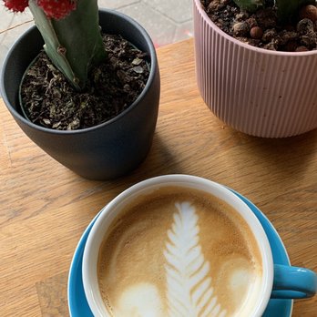 Arepa Please - vanilla latte - Coffee & Tea Near Me - Jacksonville, Florida Arepa Please - vanilla latte - Coffee & Tea Near Me - Jacksonville, Florida