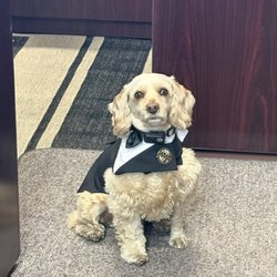 Blasian Limousine and Transportation - Leo is always dressed for the job