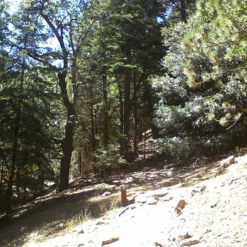 Tehachapi Mountain Park - Teahchapi Mtn Park - east view from our campsite - Hiking Near Me - Tehachapi, California