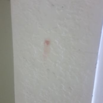 Park Pointe Hotel - That was eye level. Cleaning staff dropped the ball there. - Hotels Near Me - South San Francisco, California