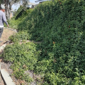 Rapid Cleanup Service - Gardeners Near Me Rapid Cleanup Service - Gardeners Near Me
