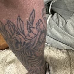 BDC Tattoo - Hard to see from the awful angle, but it's a zebra