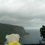 Hawaii Fun Tours