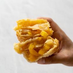 Savory Crust - Peach Mango Empanada