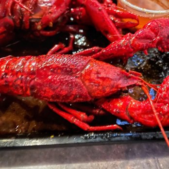 Ragin' Cajun - The big one - Cajun/Creole Near Me - Houston, Texas Ragin' Cajun - The big one - Cajun/Creole Near Me - Houston, Texas