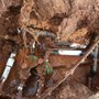 Photo of Irrigation Technicians