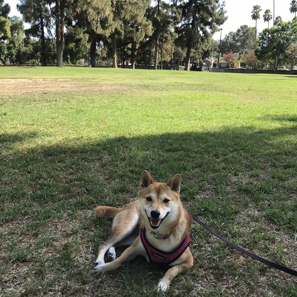 Nice park!