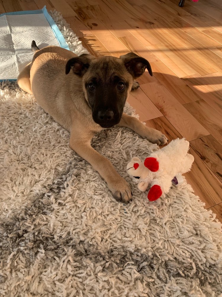 TAILS Updated November 2024 601 Blvd, Colonial Heights