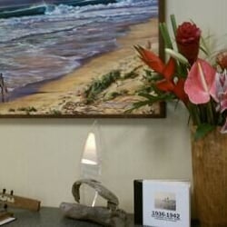 The Surfer's Journal