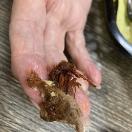 Dry rotted meat Dry rotted meat