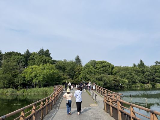 Inokashira Park by null