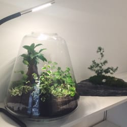 Jade Design - Un monde miniature dans une capsule de verre ou sur ardoise