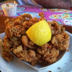 Fried clam plate (amazing!)